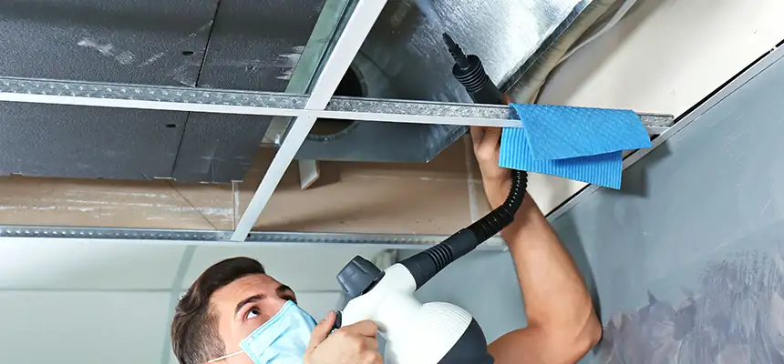 Our Air Duct Rodent Removal Services in Steubenville, OH