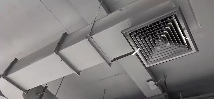 Restorative Allergy Relief Vent Cleaning – Coil, Blower & Housing Detail in Steubenville