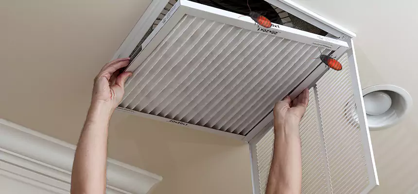 Our Insect Removal from Air Ducts Services in Steubenville, OH