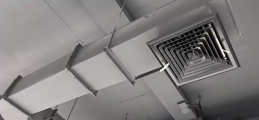 Our Pest Removal From Ducts Services in Steubenville, OH