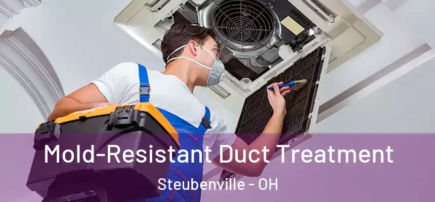  Mold-Resistant Duct Treatment Steubenville - OH
