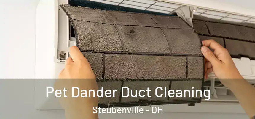  Pet Dander Duct Cleaning Steubenville - OH