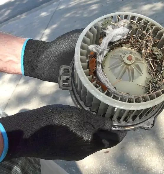 About Air Duct Mice Removal in Steubenville, OH